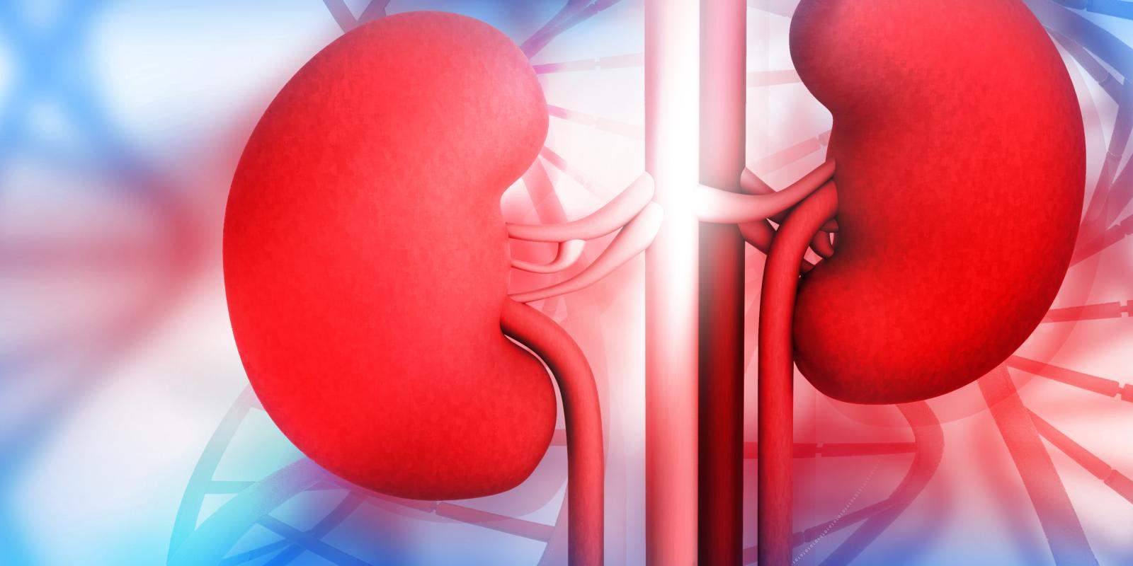 Glomerulonephritis Treatment